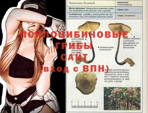 гашишное масло Алзамай