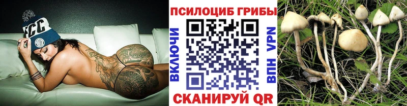 дарнет шоп  Усинск  Галлюциногенные грибы Psilocybe 